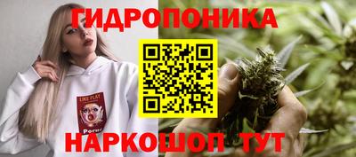 jwh Апшеронск