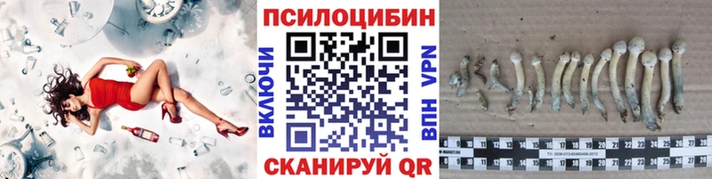 Галлюциногенные грибы Cubensis  Апшеронск 