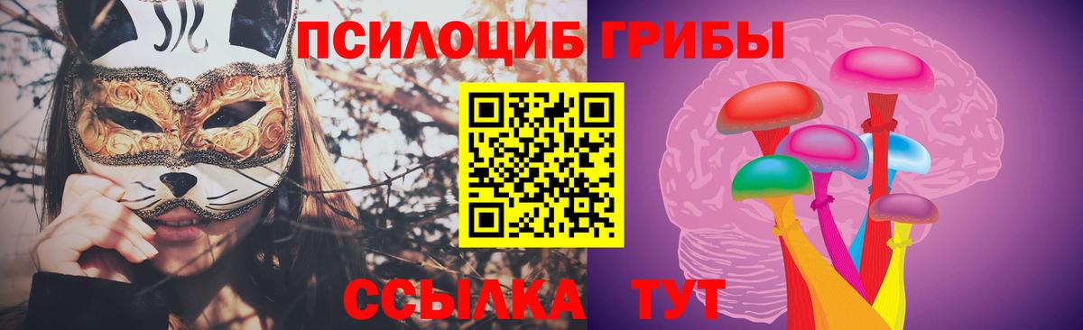 Галлюциногенные грибы Psilocybine cubensis  Вход с VPN  Апшеронск 